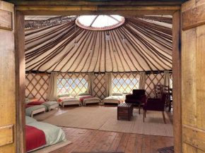 Redwood - the BIG yurt